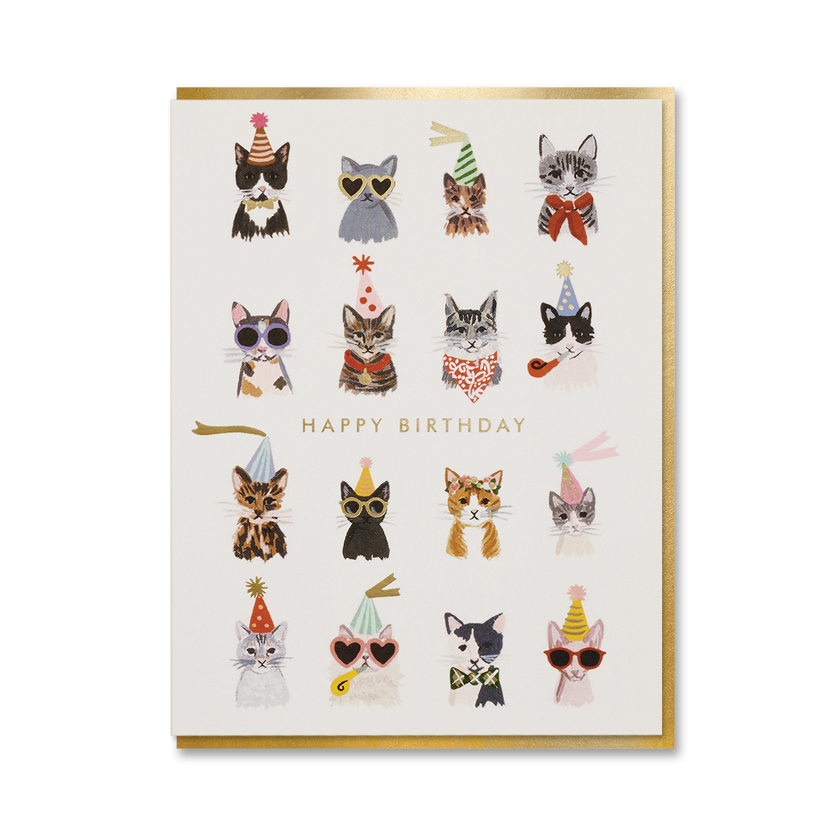 COOL CATS