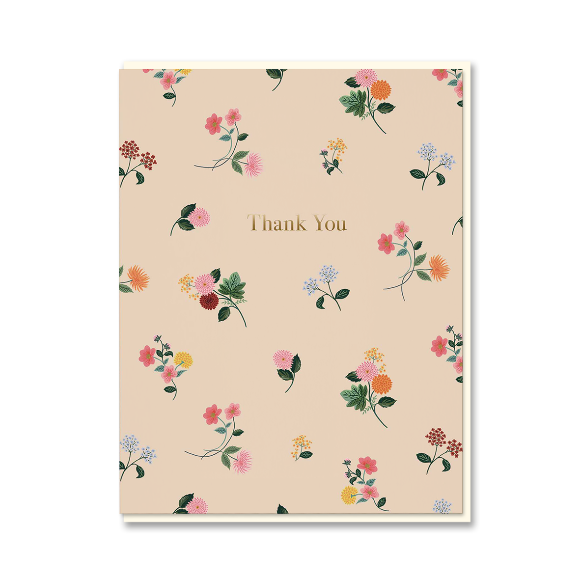 DITSY DAHLIA THANK YOU