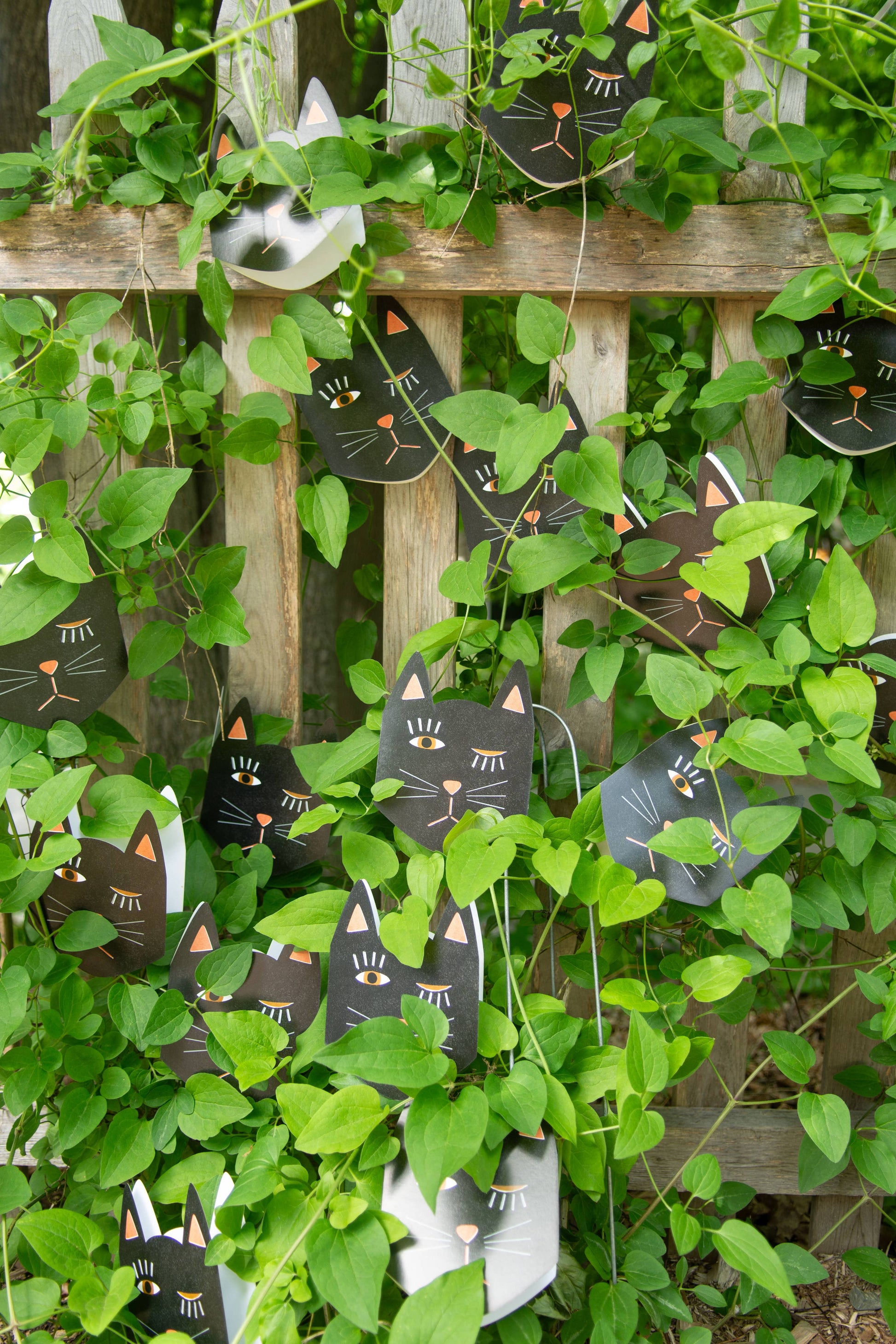 BLACK CAT BLINK DIE-CUT