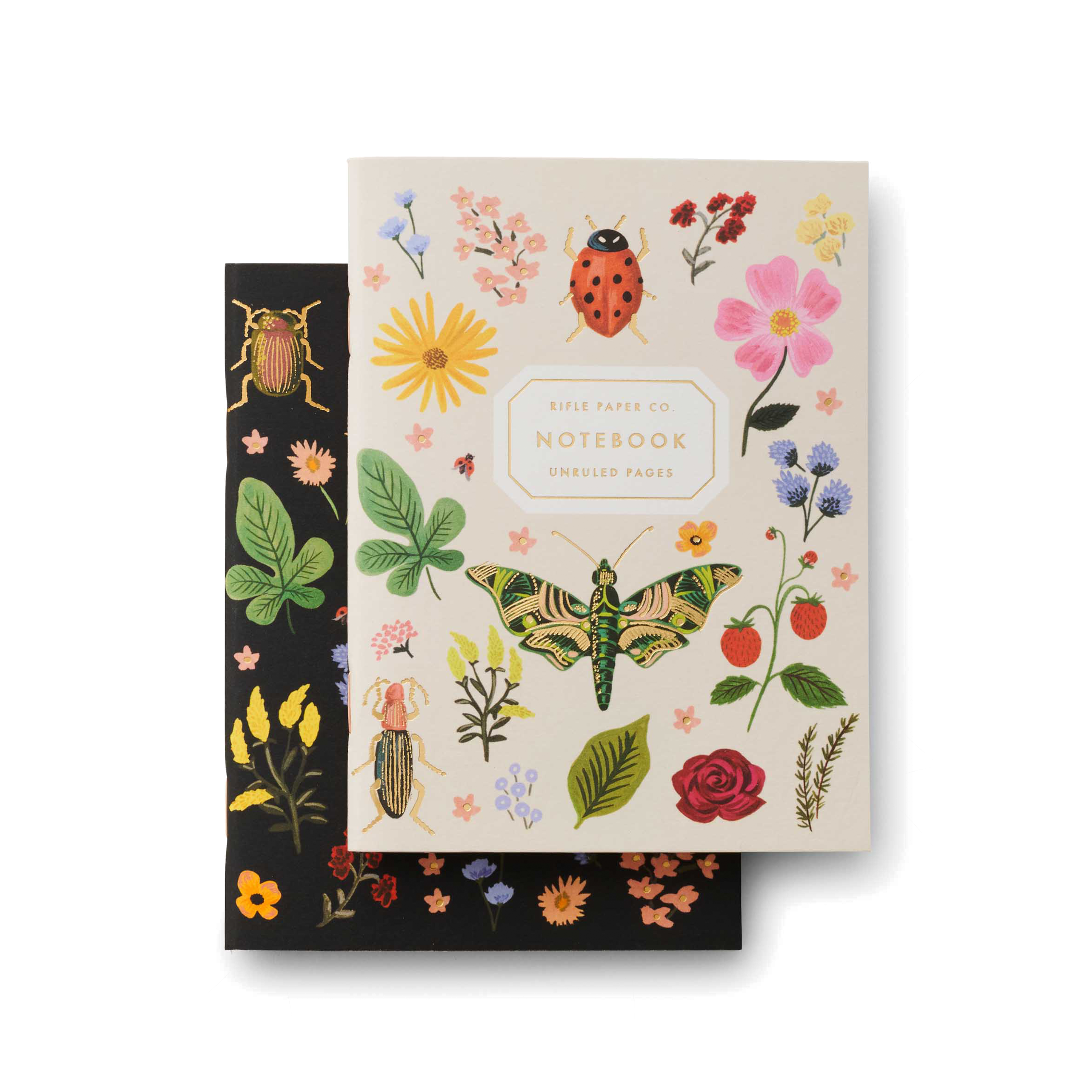 CURIO POCKET NOTEBOOKS