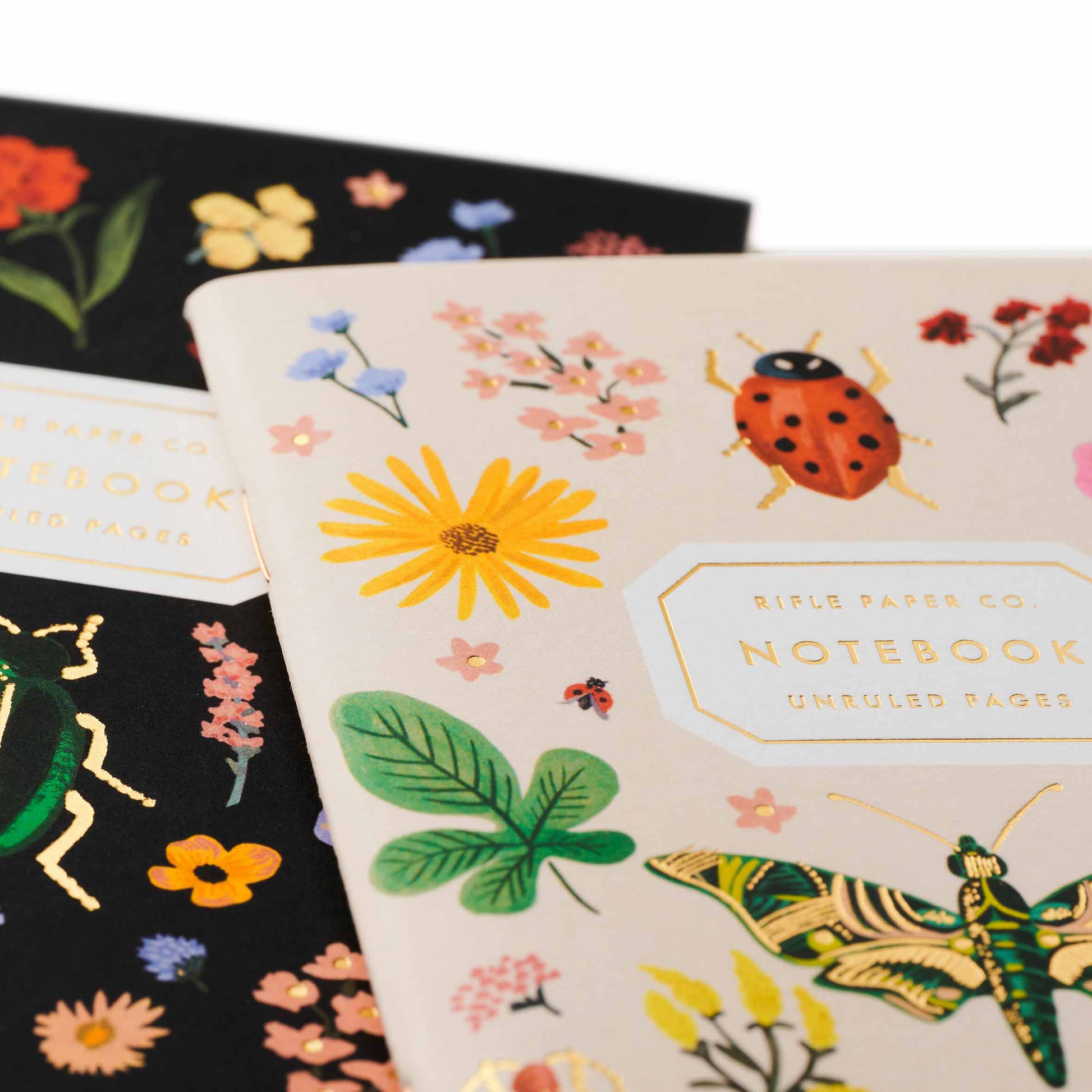 CURIO POCKET NOTEBOOKS