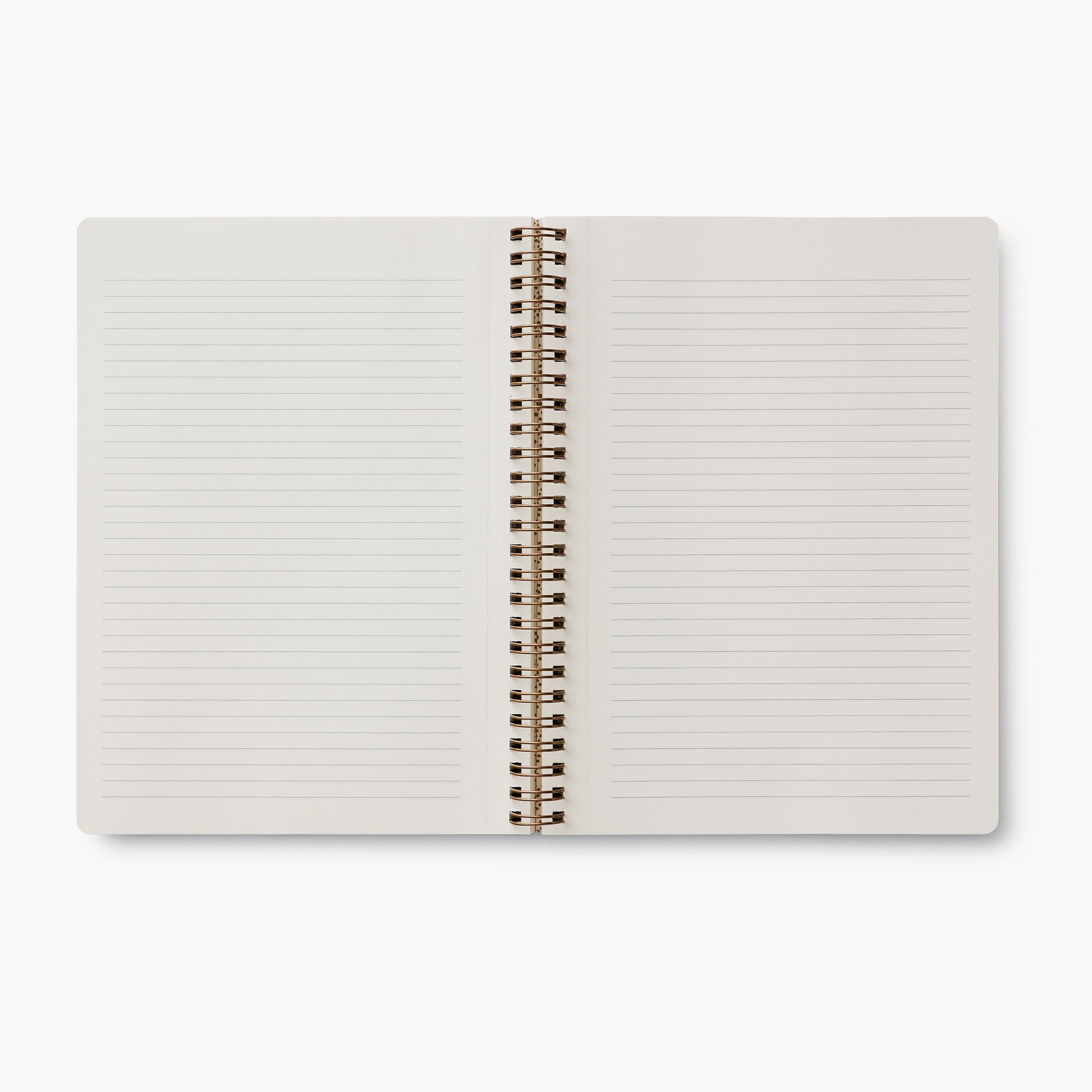 CURIO SPIRAL NOTEBOOK