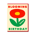 RED POPPY BLOOMING GOOD