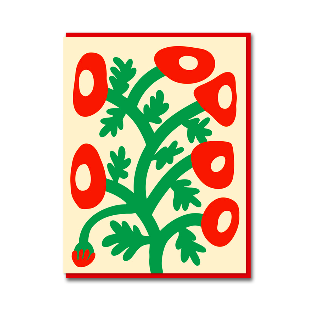 RED BEGONIAS